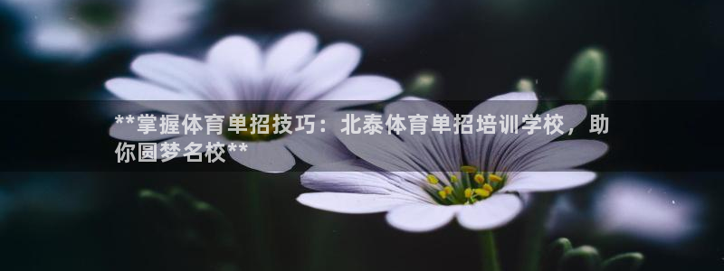 尊龙网站下分慢：**掌握体育单招技巧：北泰体育单招培