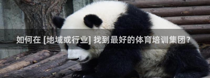 尊龙会ktv价格：如何在 [地域或行业] 找到最好的