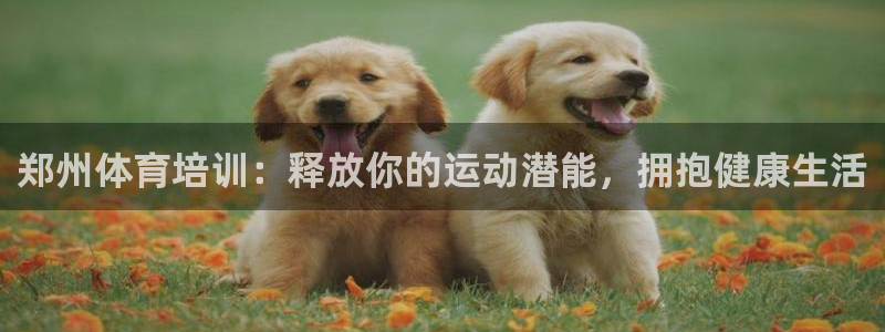 尊龙人生就要博旧版：郑州体育培训：释放你的运动潜能，