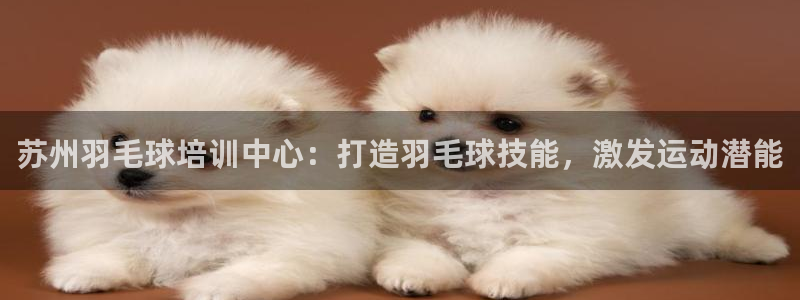 尊龙z6官网：苏州羽毛球培训中心：打造羽毛球技能，激