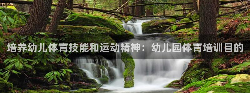 尊龙人生就是博ag旗舰厅：培养幼儿体育技能和运动精神