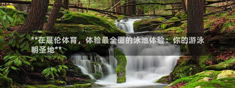 尊龙t300和t400哪个好：**在晟伦体育，体验最