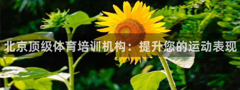 尊龙凯时城娱乐：北京顶级体育培训机构：提升您的运动表