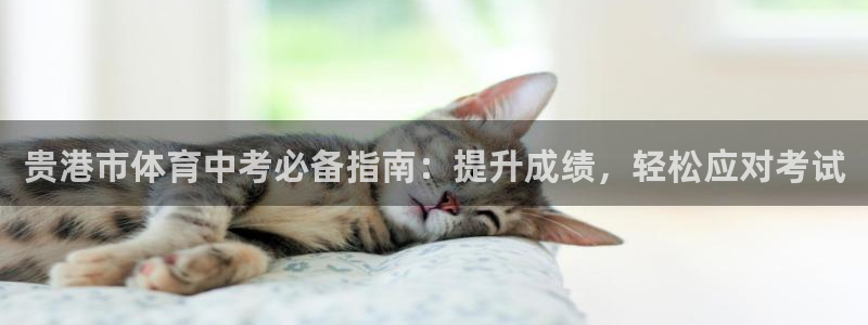 尊龙负面新闻：贵港市体育中考必备指南：提升成绩，轻松