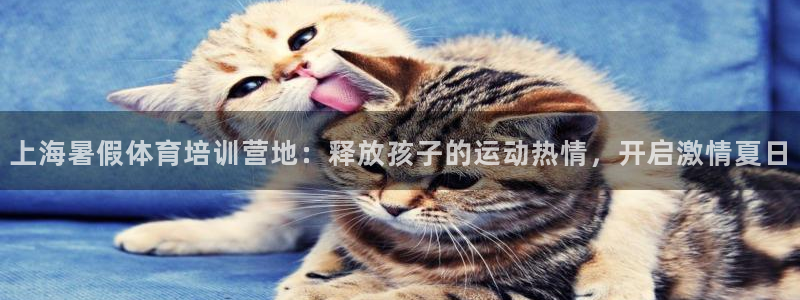 尊龙网站 人生就是博：上海暑假体育培训营地：释放孩子