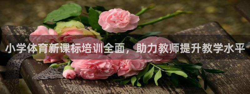 尊龙现在：小学体育新课标培训全面，助力教师提升教学水