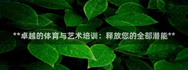 ag尊龙怎么样：**卓越的体育与艺术培训：释放您的全