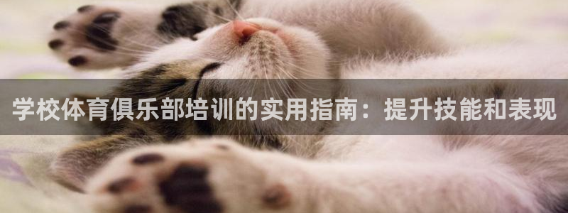 尊龙凯时白家乐Abb下载：学校体育俱乐部培训的实用指