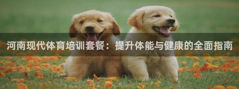 尊龙手机版下载：河南现代体育培训套餐：提升体能与健康