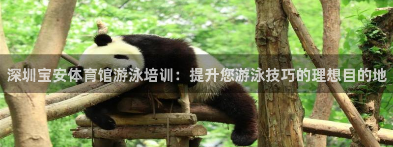 尊龙凯时官网网址：深圳宝安体育馆游泳培训：提升您游泳