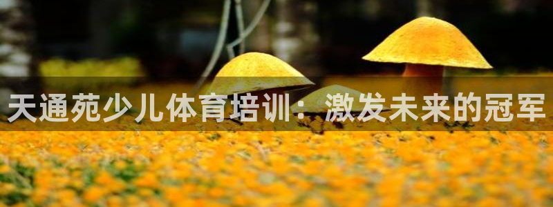 尊龙人生就是博手机版下载：天通苑少儿体育培训：激发未