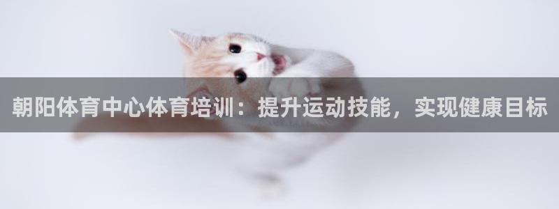 尊龙凯时口碑好吗：朝阳体育中心体育培训：提升运动技能