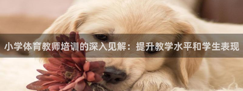 尊龙凯时取款一直支付中：小学体育教师培训的深入见解：