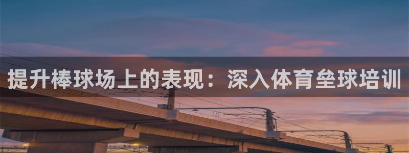 尊龙长相评价：提升棒球场上的表现：深入体育垒球培训