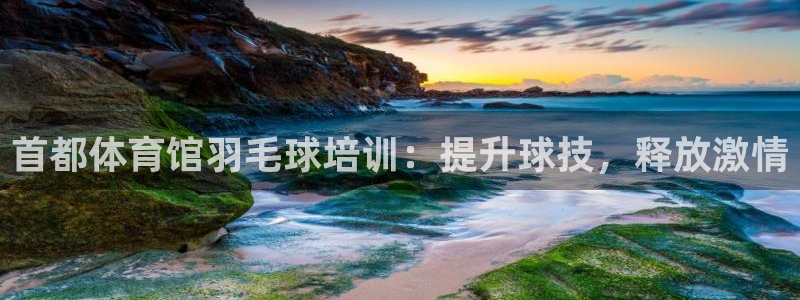 尊龙ag旗舰厅官网登录：首都体育馆羽毛球培训：提升球
