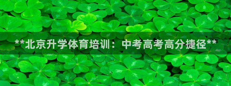 尊龙官网网页版：**北京升学体育培训：中考高考高分捷