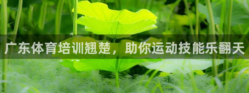 尊龙人生就是博官：广东体育培训翘楚，助你运动技能乐翻