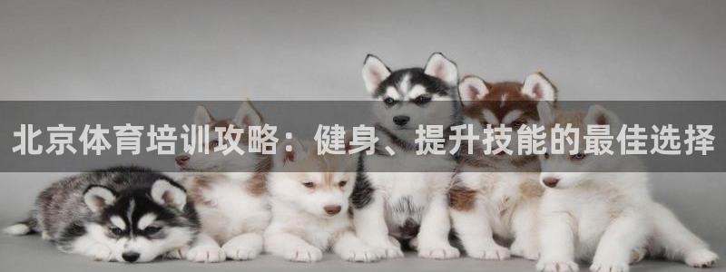 尊龙人生就是博登录网址下载：北京体育培训攻略：健身、