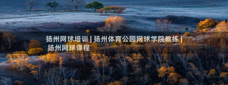 尊龙官网：扬州网球培训 | 扬州体育公园网球学院教练