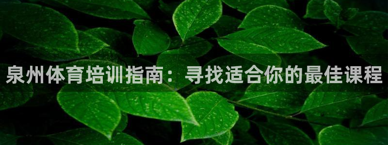 尊龙凯时平台不给出款怎么办：泉州体育培训指南：寻找适