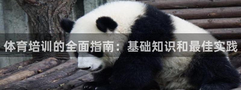 凯时K66最新版本下载：体育培训的全面指南：基础知识