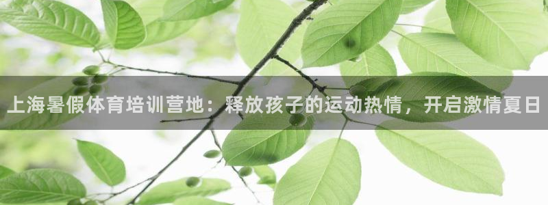 凯时国际平台有人赢吗：上海暑假体育培训营地：释放孩子