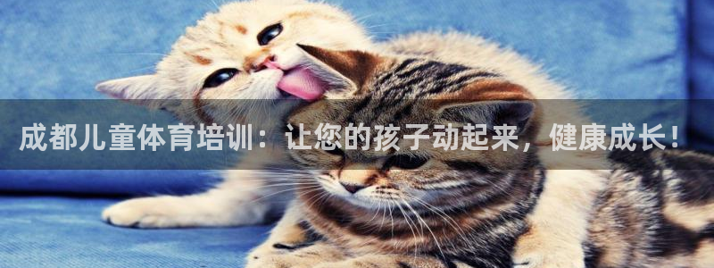 尊龙官网网站：成都儿童体育培训：让您的孩子动起来，健