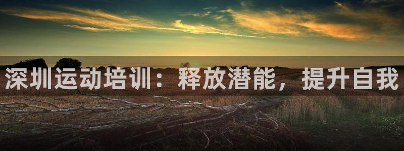 尊龙凯时平台还是万搏好：深圳运动培训：释放潜能，提升