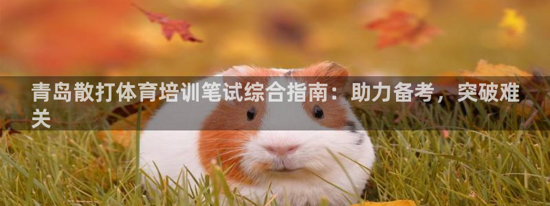 尊龙凯时代理佣金发不发：青岛散打体育培训笔试综合指南
