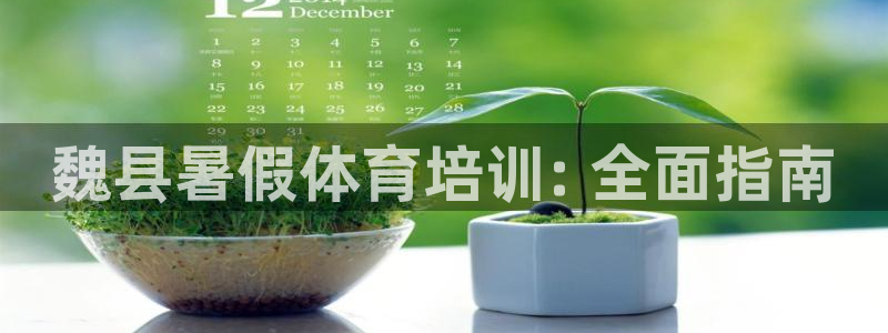 尊龙人生就是搏：魏县暑假体育培训: 全面指南