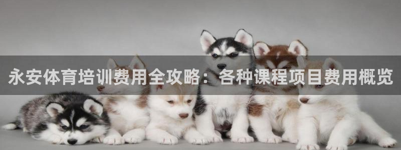 尊龙旗舰厅：永安体育培训费用全攻略：各种课程项目费用