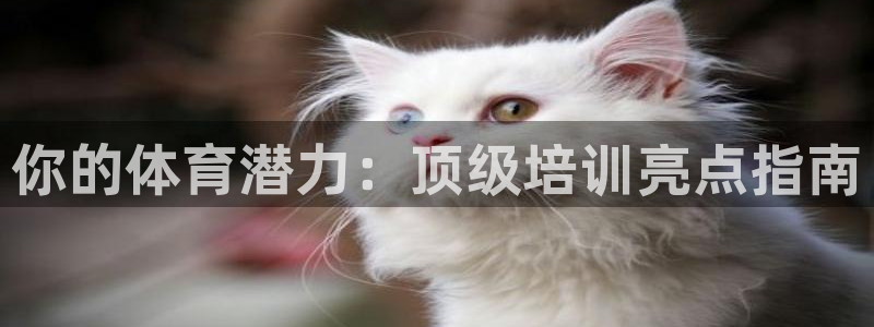 尊龙d88官网新版：你的体育潜力：顶级培训亮点指南