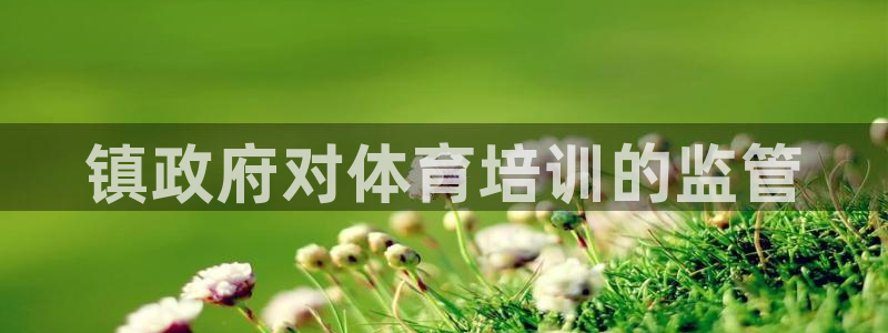 凯时ag旗舰厅登录：镇政府对体育培训的监管