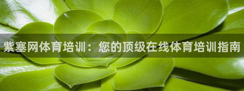 尊龙凯时 人生就是搏首页：紫塞网体育培训：您的顶级在