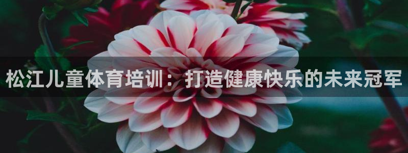 尊龙凯时 - 人生就是搏有假吗：松江儿童体育培训：打