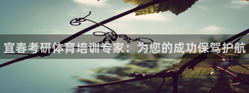 尊龙是什么软件：宜春考研体育培训专家：为您的成功保驾