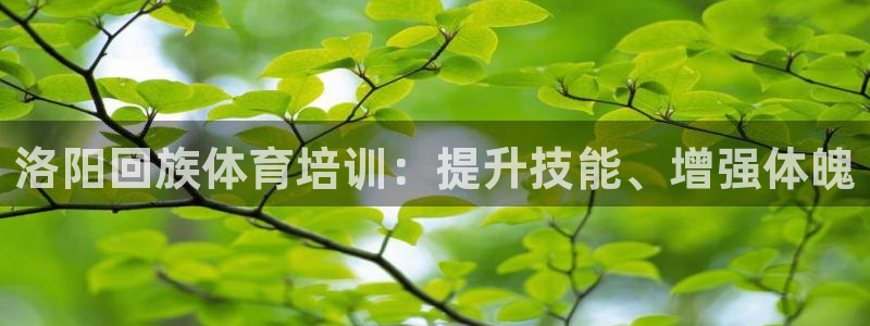 凯时K8国际：洛阳回族体育培训：提升技能、增强体魄