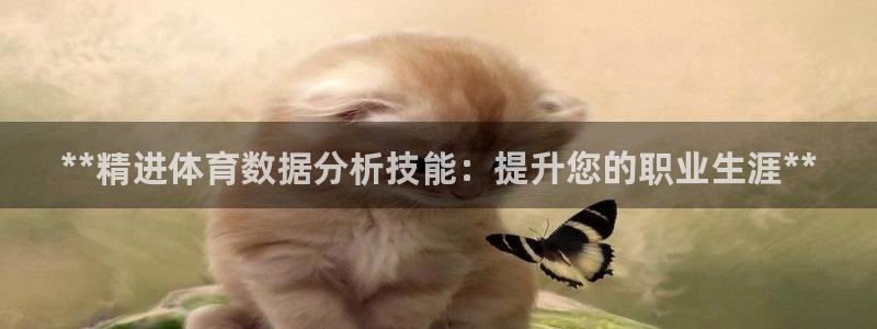 尊龙 中国：**精进体育数据分析技能：提升您的职业生