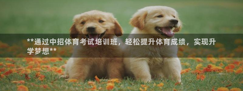 尊龙凯时能不能提现?：**通过中招体育考试培训班，轻