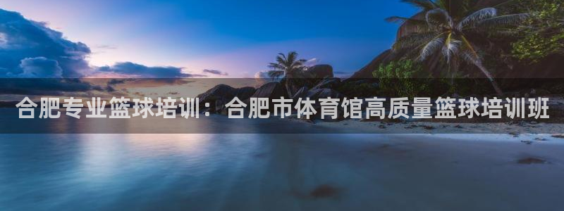 凯时游戏官方网站：合肥专业篮球培训：合肥市体育馆高质