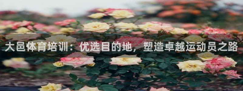 尊龙d88平台版下载：大邑体育培训：优选目的地，塑造