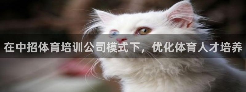 尊龙官网网站：在中招体育培训公司模式下，优化体育人才