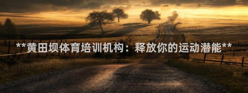 尊龙凯时请求参数不符合：**黄田坝体育培训机构：释放