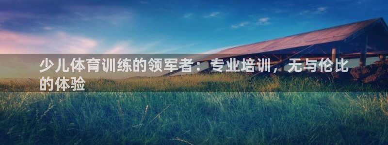 凯时尊龙平台登录：少儿体育训练的领军者：专业培训，无