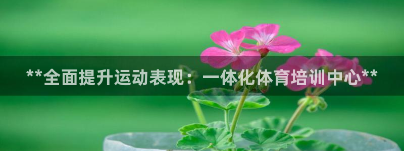 尊龙ag旗舰：**全面提升运动表现：一体化体育培训中