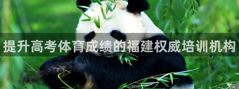 尊龙凯时下载链接：提升高考体育成绩的福建权威培训机构