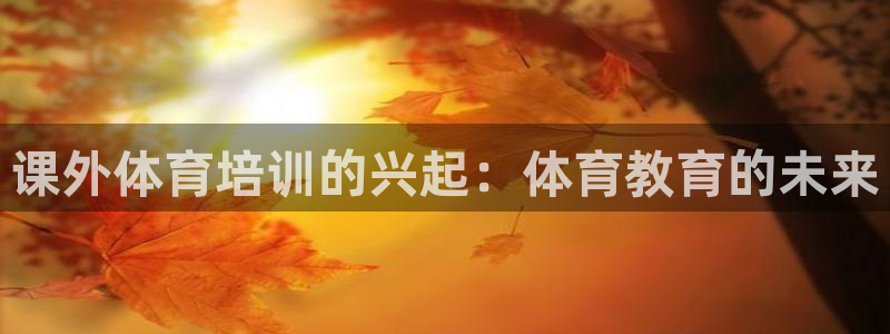 d88尊龙官网登录免费下载：课外体育培训的兴起：体育