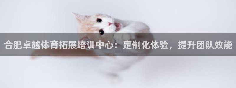 尊龙一人生就是博尊：合肥卓越体育拓展培训中心：定制化