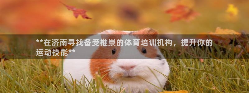 凯时平台app：**在济南寻找备受推崇的体育培训机构