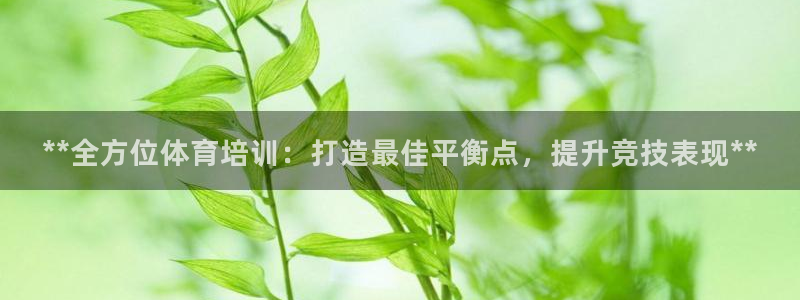 凯时尊龙平台登录：**全方位体育培训：打造最佳平衡点